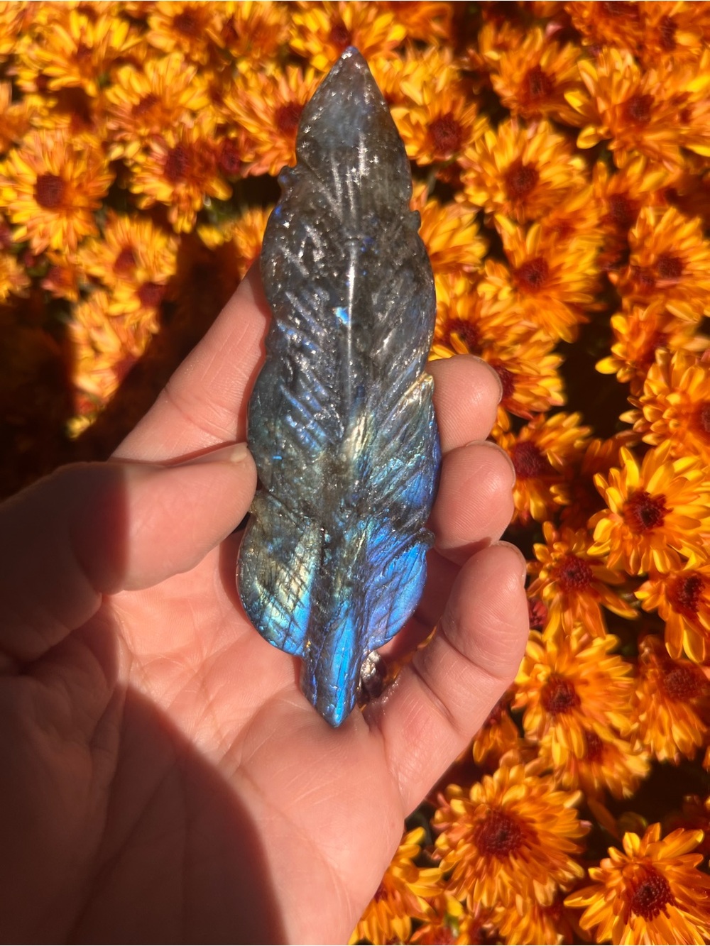 Labradorite (2) Feather with stand |  Crystal